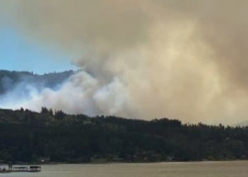 Alerta roja por incendio forestal en Vichuquén