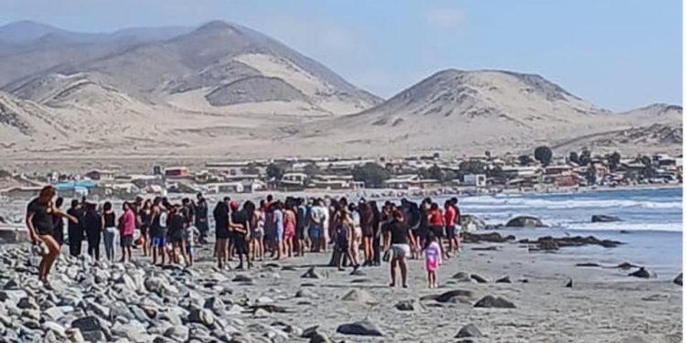 Tratado de las Naciones Unidas sobre biodiversidad marina más allá de las jurisdicciones nacionales