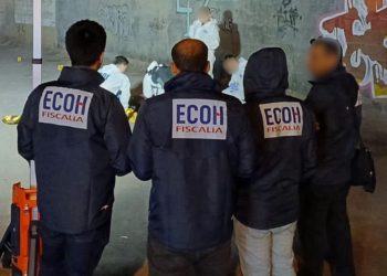 Autismo y su desafío para la educación superior