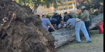 La necesidad del descanso parental