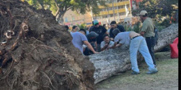 La necesidad del descanso parental