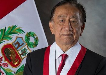 Marzo y mascotas: claves para acompañar su adaptación al regreso a la rutina