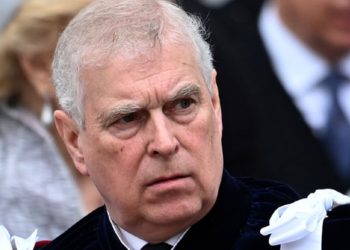 Marzo y mascotas: claves para acompañar su adaptación al regreso a la rutina