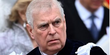 Marzo y mascotas: claves para acompañar su adaptación al regreso a la rutina