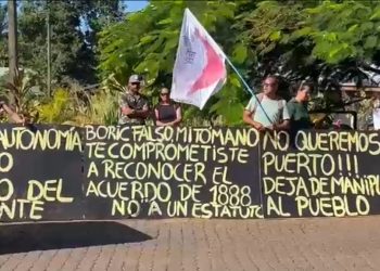 Marzo y mascotas: claves para acompañar su adaptación al regreso a la rutina