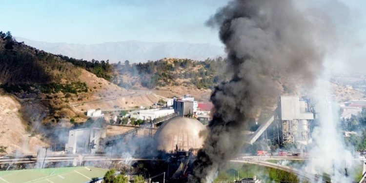 Marzo y mascotas: claves para acompañar su adaptación al regreso a la rutina