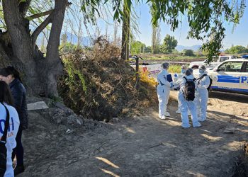 Encuentran cuerpo humano descuartizado en dos maletas en un terreno abandonado en Pudahuel