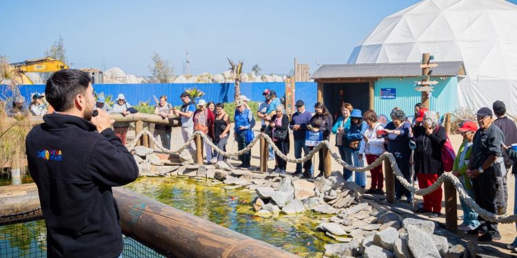 Acuario Vivamar refuerza compromiso con colegios y delegaciones estudiantiles con miras al Mes del Mar