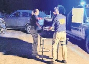 De los Therians al “Hobby Dogging”: la nueva y curiosa tendencia de pasear con correa a perros imaginarios