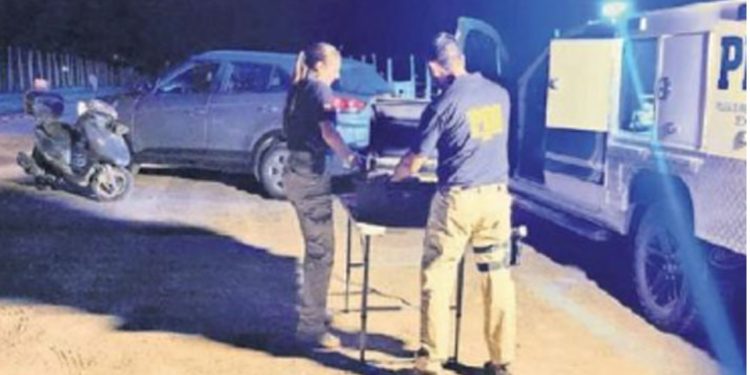 De los Therians al “Hobby Dogging”: la nueva y curiosa tendencia de pasear con correa a perros imaginarios