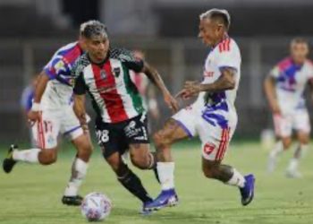 De los Therians al “Hobby Dogging”: la nueva y curiosa tendencia de pasear con correa a perros imaginarios