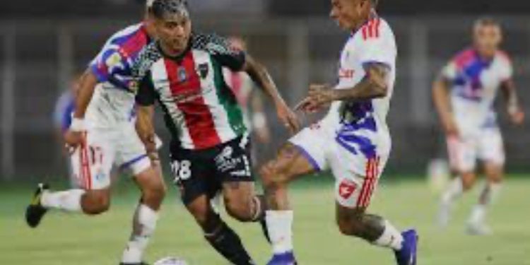 De los Therians al “Hobby Dogging”: la nueva y curiosa tendencia de pasear con correa a perros imaginarios