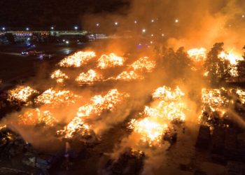 De los Therians al “Hobby Dogging”: la nueva y curiosa tendencia de pasear con correa a perros imaginarios