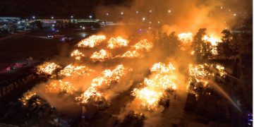 De los Therians al “Hobby Dogging”: la nueva y curiosa tendencia de pasear con correa a perros imaginarios