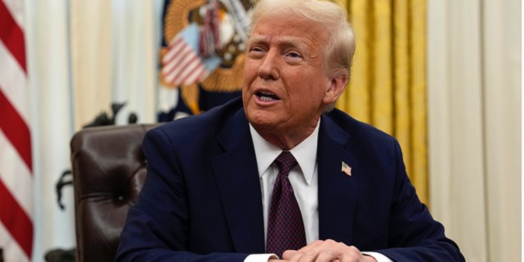 De los Therians al “Hobby Dogging”: la nueva y curiosa tendencia de pasear con correa a perros imaginarios