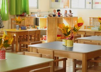 De los Therians al “Hobby Dogging”: la nueva y curiosa tendencia de pasear con correa a perros imaginarios