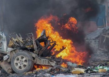 De los Therians al “Hobby Dogging”: la nueva y curiosa tendencia de pasear con correa a perros imaginarios