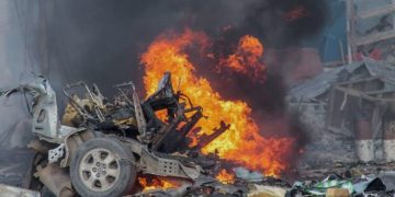 De los Therians al “Hobby Dogging”: la nueva y curiosa tendencia de pasear con correa a perros imaginarios