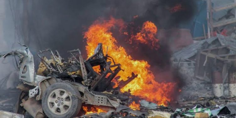 De los Therians al “Hobby Dogging”: la nueva y curiosa tendencia de pasear con correa a perros imaginarios