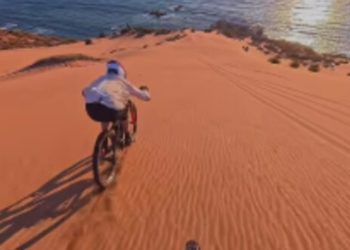 De los Therians al “Hobby Dogging”: la nueva y curiosa tendencia de pasear con correa a perros imaginarios