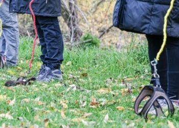 De los Therians al “Hobby Dogging”: la nueva y curiosa tendencia de pasear con correa a perros imaginarios