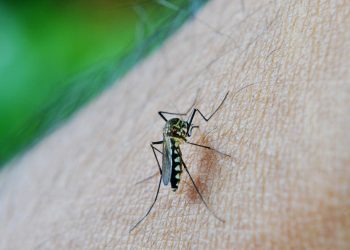 Mujer, ciencia y equidad: una deuda histórica