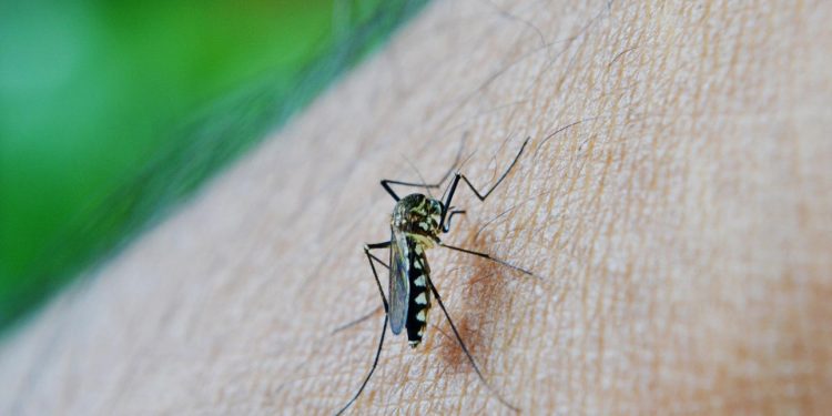 Mujer, ciencia y equidad: una deuda histórica