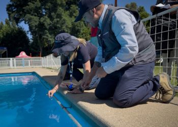Seremi de Salud realizó más de 1.300 fiscalizaciones durante el verano en la Región de Valparaíso