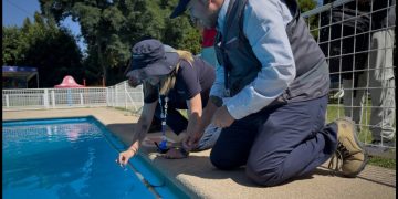 Seremi de Salud realizó más de 1.300 fiscalizaciones durante el verano en la Región de Valparaíso