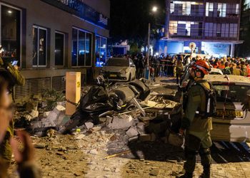 Obesidad: la otra pandemia en perros y gatos en Chile