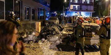 Obesidad: la otra pandemia en perros y gatos en Chile