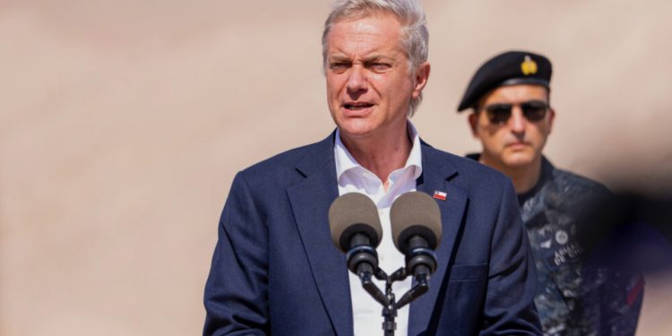 Obesidad: la otra pandemia en perros y gatos en Chile