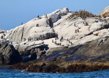 Una semana de retroceso institucional