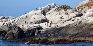 Una semana de retroceso institucional