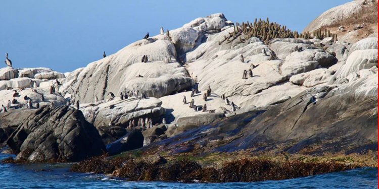 Una semana de retroceso institucional