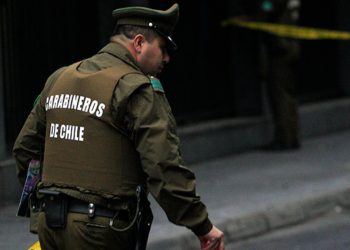 Bosques de la Región de Valparaíso: aprender a cuidarlos y recorrerlos