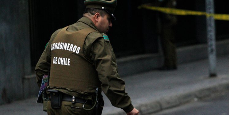 Bosques de la Región de Valparaíso: aprender a cuidarlos y recorrerlos