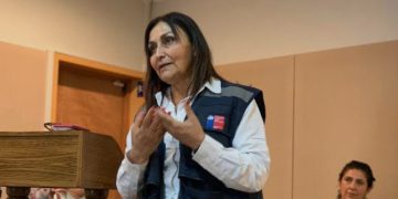 Bosques de la Región de Valparaíso: aprender a cuidarlos y recorrerlos