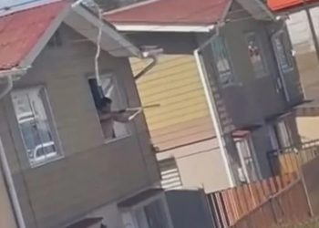 Bosques de la Región de Valparaíso: aprender a cuidarlos y recorrerlos