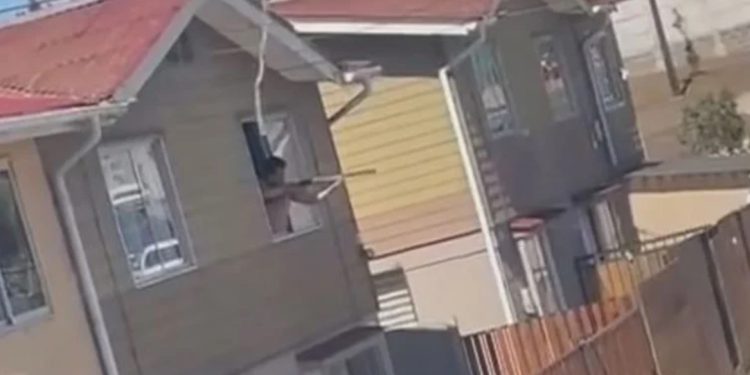 Bosques de la Región de Valparaíso: aprender a cuidarlos y recorrerlos