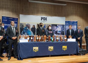 Bosques de la Región de Valparaíso: aprender a cuidarlos y recorrerlos