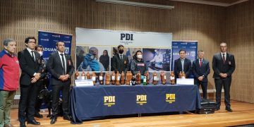 Bosques de la Región de Valparaíso: aprender a cuidarlos y recorrerlos