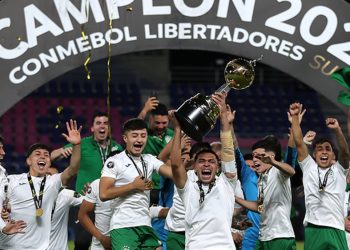 Dueña de perro electrocutado en Viña del Mar pide justicia