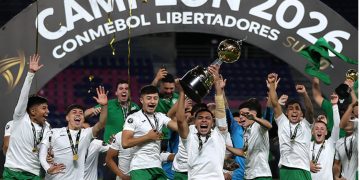 Dueña de perro electrocutado en Viña del Mar pide justicia