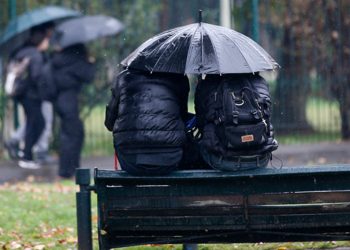 Dueña de perro electrocutado en Viña del Mar pide justicia