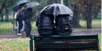 Dueña de perro electrocutado en Viña del Mar pide justicia