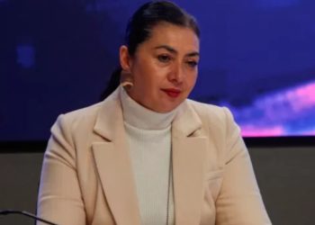 Dueña de perro electrocutado en Viña del Mar pide justicia