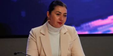 Dueña de perro electrocutado en Viña del Mar pide justicia