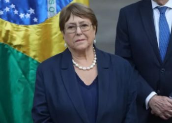 Dueña de perro electrocutado en Viña del Mar pide justicia