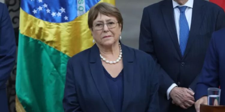 Dueña de perro electrocutado en Viña del Mar pide justicia